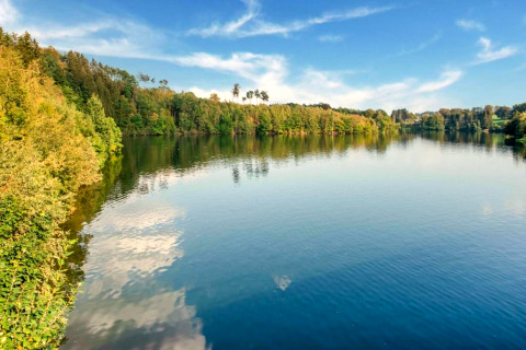 Foto de un lago tranquilo rodeado de árboles verdes y cielo azul desde la casa móvil Manureva en Bélgica.