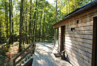 Houten terras en chalet "Droles d'écureuil" omgeven door bosrijk groen in België bij zonnig weer.
