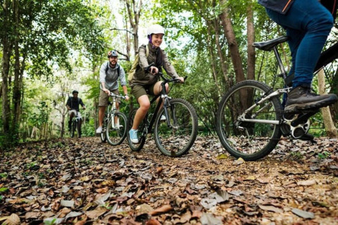 A group of people cycling along a leaf-covered forest trail at Ard Zen lodge in Belgium.