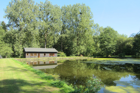 De lodge Les Peupliers de la pecherie in België ligt naast een vijver, omgeven door hoge bomen en groen.