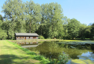 De lodge Les Peupliers de la pecherie in België ligt naast een vijver, omgeven door hoge bomen en groen.