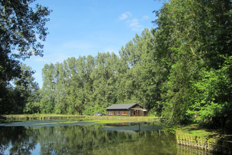 Een sfeervolle lodge aan de vijver, omgeven door bomen bij Les Peupliers de la pecherie in België.