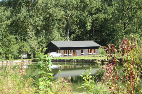 Foto van de lodge Les Peupliers de la pecherie in België, met een vijver ervoor en weelderig groen eromheen.