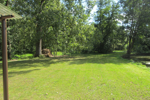 Zonnig grasveld met bomen en houtstapel bij Les Peupliers de la pecherie lodge in België.
