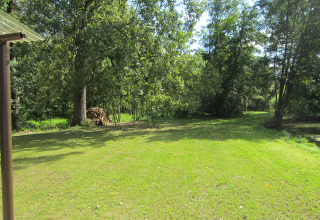 Zonnig grasveld met bomen en houtstapel bij Les Peupliers de la pecherie lodge in België.