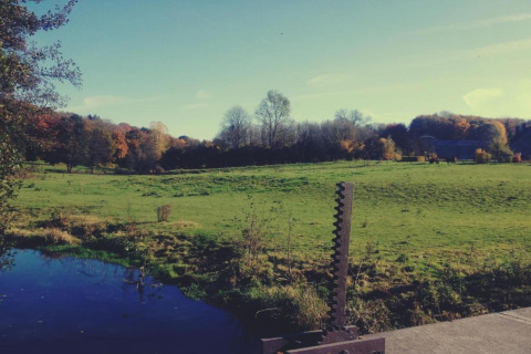 Groene weide, vijver en herfstbomen bij lodge 'Les Peupliers de la pecherie' in België, rustige omgeving.