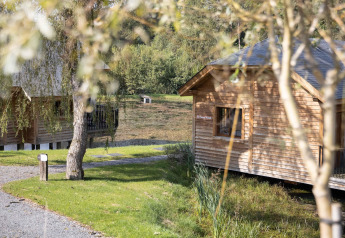 Blokhutten aan het meer omringd door natuur, Cabane 'The Funny Friends' lodge in België op een zonnige dag.