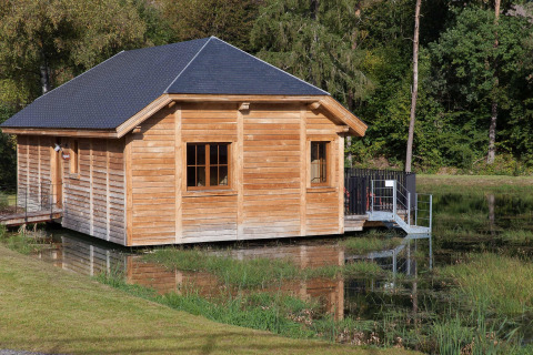 A cozy wooden lodge named 'Happiness' is situated beside a pond in a serene Belgian forest.