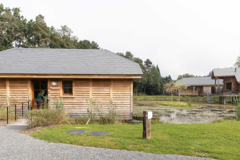 Wooden lodge named 'Happiness' by a pond in Belgium, surrounded by greenery and peaceful nature.