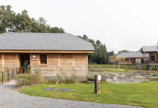 Wooden lodge named 'Happiness' by a pond in Belgium, surrounded by greenery and peaceful nature.