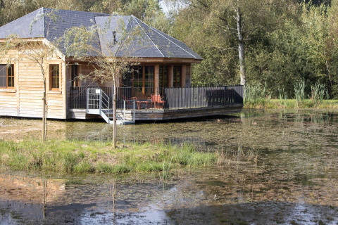A wooden lodge named Happiness sits by the pond, surrounded by lush nature and tranquil greenery.