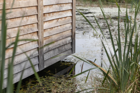 Wooden wall of Lodge Happiness in Belgium by a pond with reeds and floating leaves, tranquil setting.