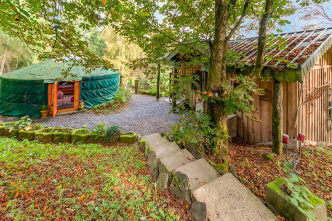 Cozy green yurt and wooden cabin nestled in the forest at La Pause Insolite in Belgium.