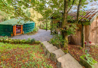 Cozy green yurt and wooden cabin nestled in the forest at La Pause Insolite in Belgium.