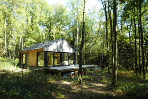 Chalet 'Droles d'écureuil' in België, omringd door bos, met ruim terras en glazen gevels.