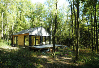 Chalet 'Droles d'écureuil' in België, omringd door bos, met ruim terras en glazen gevels.
