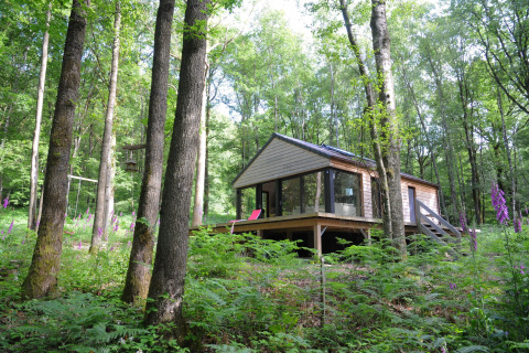 Chalet 'Droles d'écureuil' in België in een bosrijke omgeving met grote ramen en houten terras.