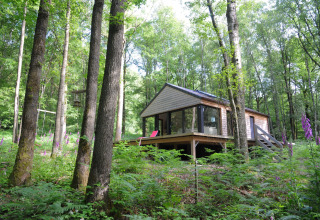 Chalet 'Droles d'écureuil' in België in een bosrijke omgeving met grote ramen en houten terras.