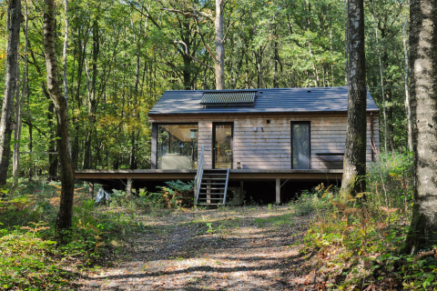 Vooraanzicht van Droles d'écureuil chalet; houten huisje in het bos met veranda en pad ervoor.