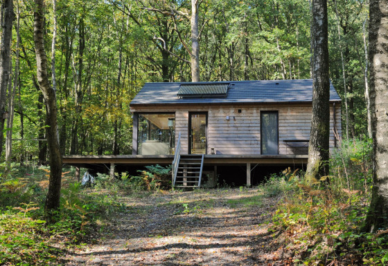 Vooraanzicht van Droles d'écureuil chalet; houten huisje in het bos met veranda en pad ervoor.