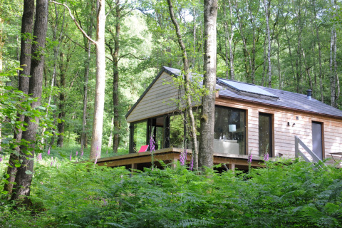 Modern chalet 'Droles d'écureuil' vredig gelegen tussen het groen in een bos in België.