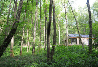 Een houten chalet, 'Droles d'écureuil', ligt tussen hoge bomen in een groene Belgische bosomgeving.