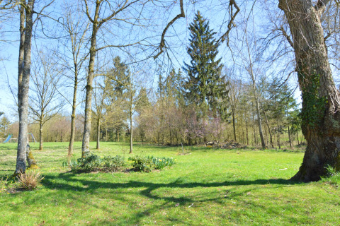 Groene tuin met bomen en blauwe lucht, gefotografeerd bij chalet 'Droles d'écureuil' in België.