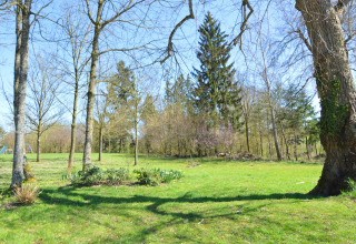 Groene tuin met bomen en blauwe lucht, gefotografeerd bij chalet 'Droles d'écureuil' in België.