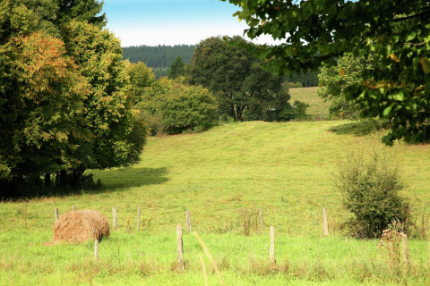 Uitzicht vanaf chalet «Droles d'écureuil» in België met groene weide, bomen en een hooibaal.
