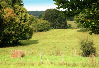 Uitzicht vanaf chalet «Droles d'écureuil» in België met groene weide, bomen en een hooibaal.