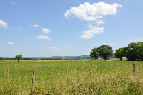 Panoramisch uitzicht op een groene weide met bomen en blauwe lucht bij chalet ‘Drôles d'écureuil’ in België.