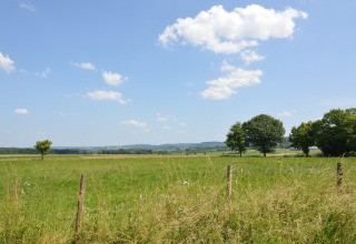 Panoramisch uitzicht op een groene weide met bomen en blauwe lucht bij chalet ‘Drôles d'écureuil’ in België.