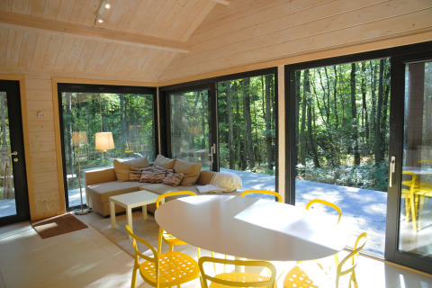 Moderne woonkamer in chalet ‘Droles d'écureuil’ in België met grote ramen en uitzicht op het bos.