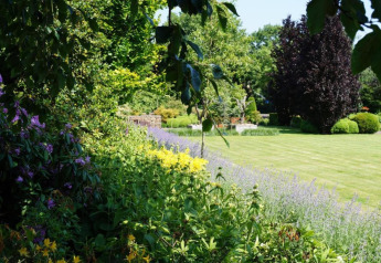 Gepflegter Garten mit Blumenbeeten, grüner Wiese und Bäumen an einer Glamping-Unterkunft bei Sonne.