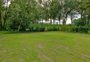 Groene glampingplaats met nieuw gras, omringd door bomen en struiken in een rustige omgeving.