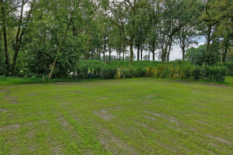 Grüne Glamping-Unterkunft mit weichem Rasen, umgeben von Bäumen und dichter Vegetation.