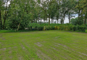 Grüne Glamping-Unterkunft mit weichem Rasen, umgeben von Bäumen und dichter Vegetation.