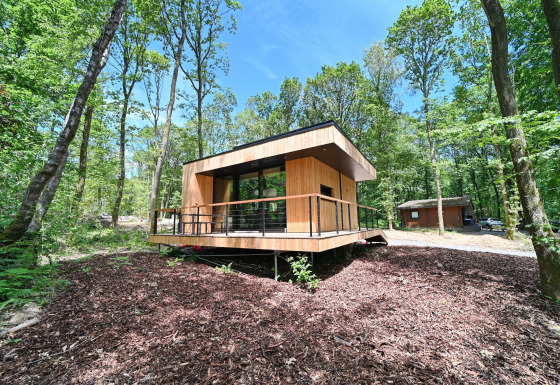 Modern wooden lodge elevated in a lush forest at Village de Vacances Oignies 5 under a clear blue sky.