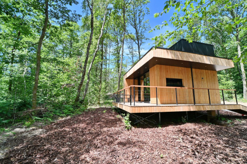 Modern wooden lodge at Village de Vacances Oignies 5, surrounded by forest scenery in Belgium.