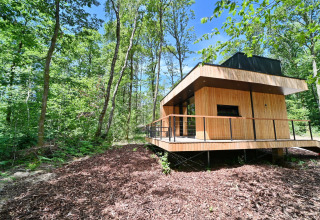 Modern wooden lodge at Village de Vacances Oignies 5, surrounded by forest scenery in Belgium.