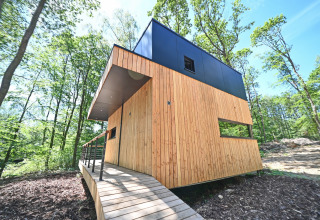 Modern wooden lodge with walkway, set in the forest at Village de Vacances Oignies 5, Belgium, sunny day.