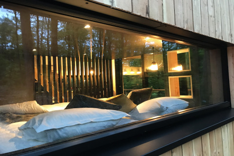 View through a window into the cozy interior of Village de Vacances Oignies 5 lodge, set in Belgian woods.