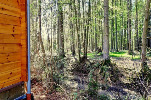 Vista da uno chalet in legno al Village de Vacances Oignies 6 in Belgio con panorama sul bosco.