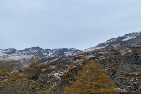 Paesaggio montano con poca neve, fotografato dal Village de Vacances Oignies 6 in Belgio.