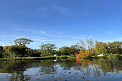 Vista di un lago tranquillo che riflette alberi e cielo azzurro presso Village de Vacances Oignies 6, Belgio.