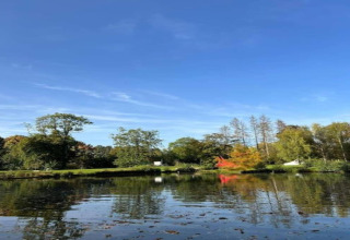 Vista di un lago tranquillo che riflette alberi e cielo azzurro presso Village de Vacances Oignies 6, Belgio.