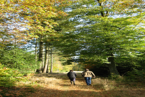To personer går på en natursti omgivet af grønne træer nær Les Jardins de l'Ourthe 8 i Belgien.