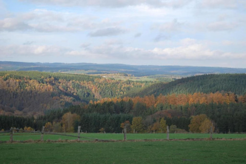 Udsigt over grønne bakker og farverige efterårsskov fra Les Jardins de l'Ourthe 8-lodge i Belgien.