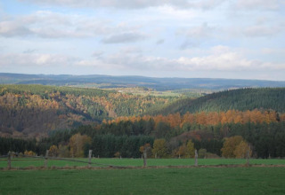 Udsigt over grønne bakker og farverige efterårsskov fra Les Jardins de l'Ourthe 8-lodge i Belgien.