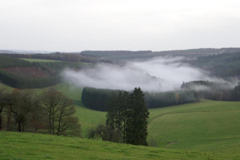 Tåge hviler over grønne bakker og skov nær Les Jardins de l'Ourthe 8-lodge i Belgien, fredelig naturudsigt.